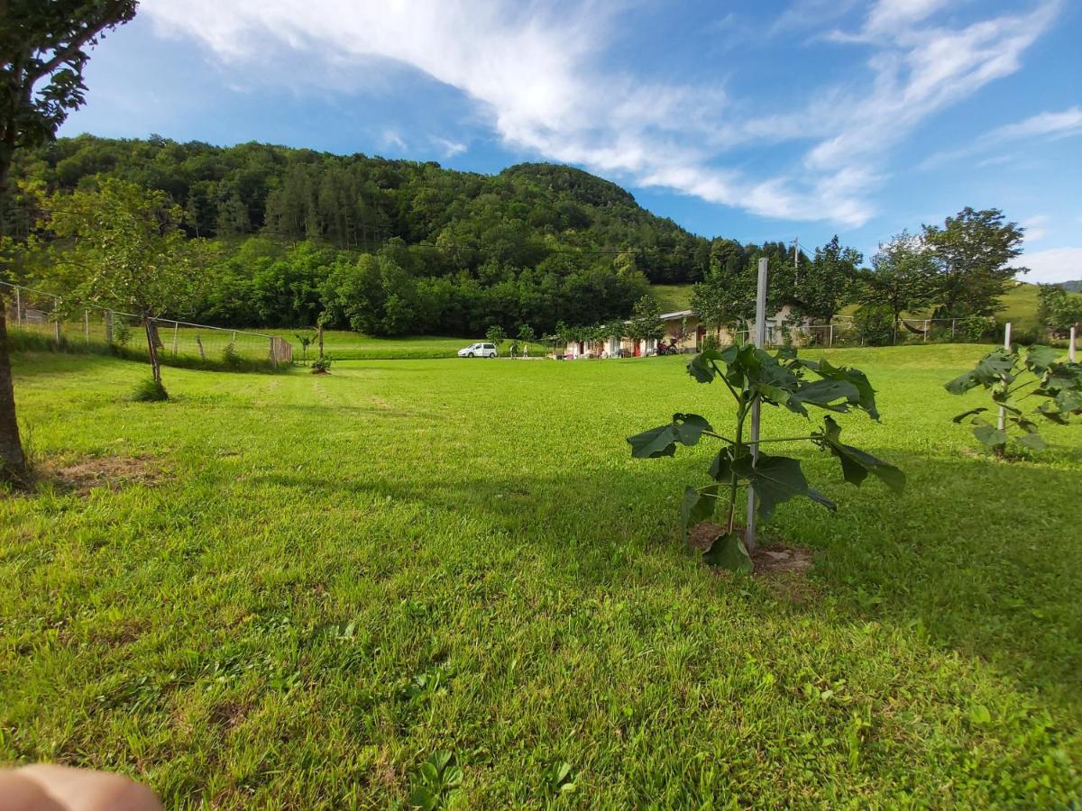 托尔明 Glamping Hiske Petrin酒店 外观 照片
